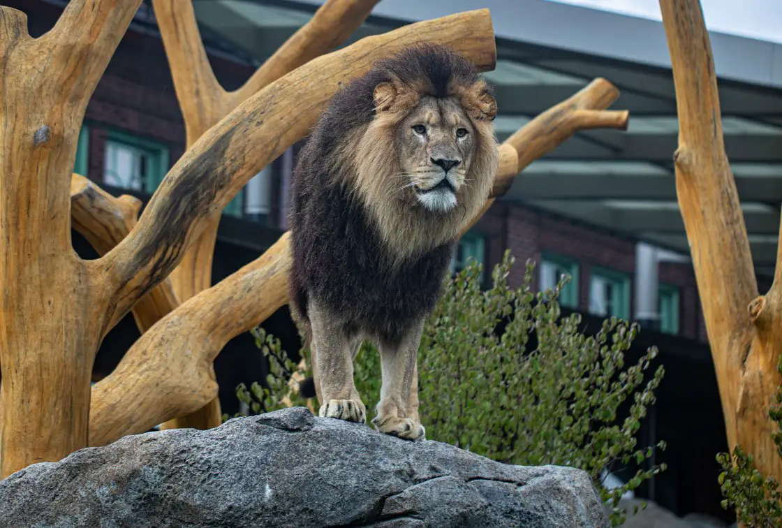 Pepper Family Wildlife Center Opens at Lincoln Park Zoo