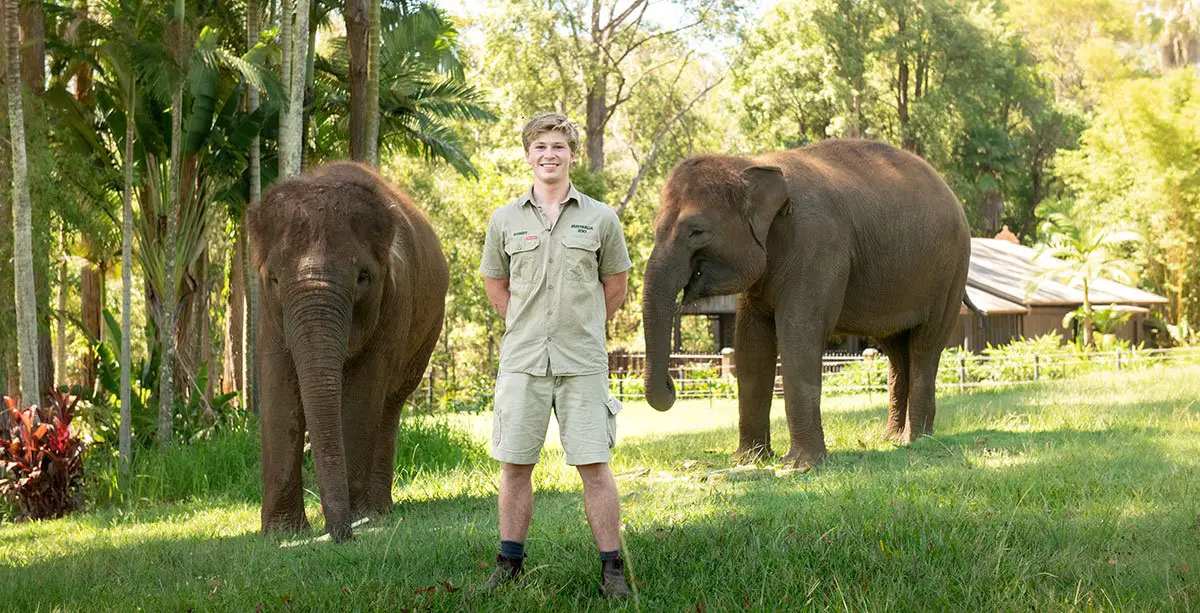 Elephants Go On Display Australia Zoo