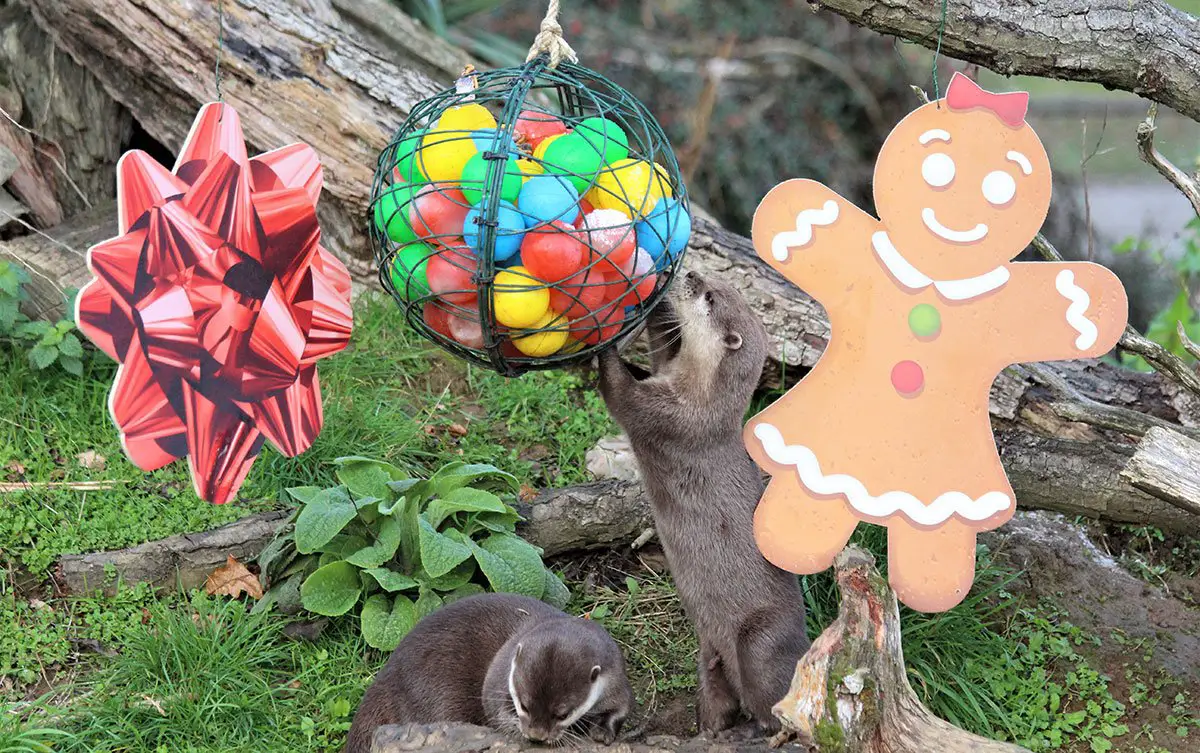 Holiday Fun at ZSL London and Whipsnade Zoo