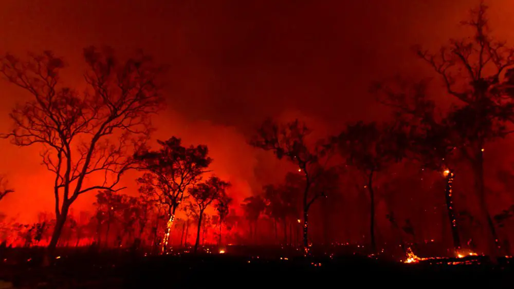 Australian Wildlife Conservancy Fires