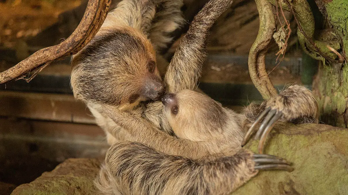 Mother's Day at ZSL