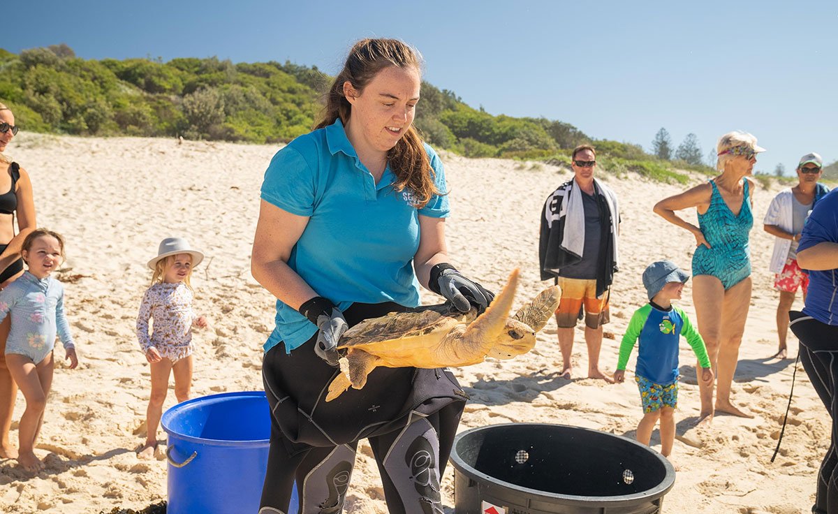 Sea Turtle Releases SEA LIFE Sydney Aquarium