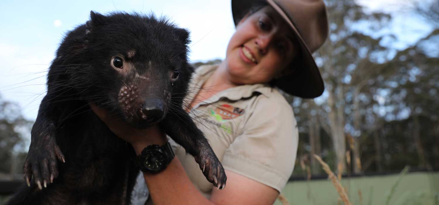 Tasmanian Devils Jet in to Aussie Ark