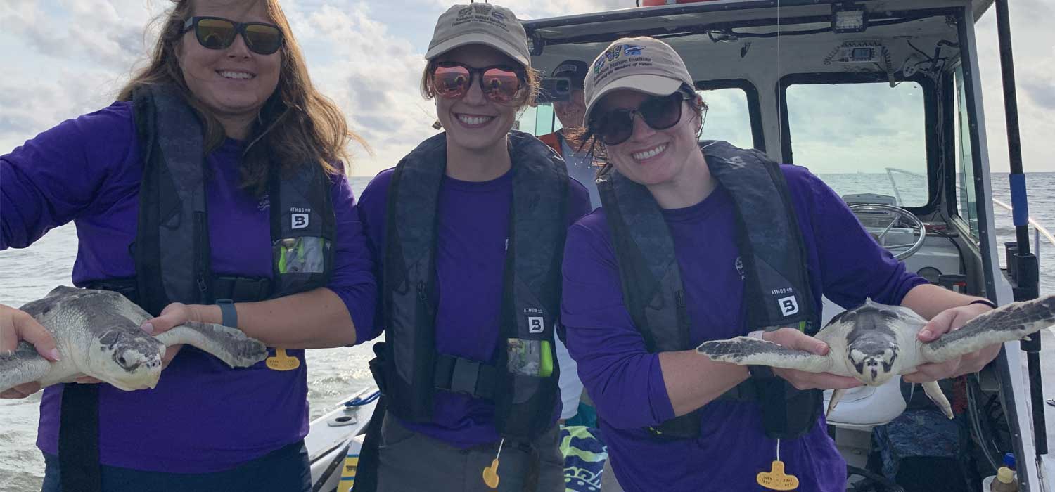 Sea Turtle Release Audubon Nature Institute