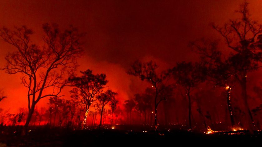 Australian Wildlife Conservancy Fires
