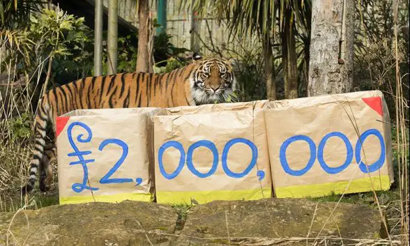 RZSS lottery $2million