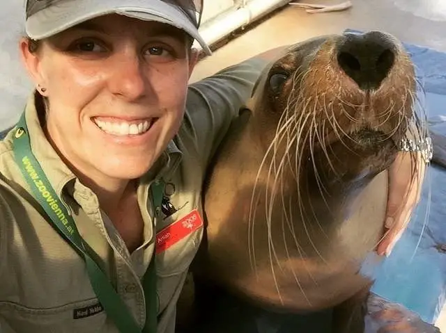 Ady the Sea Lion Birthday Adelaide Zoo