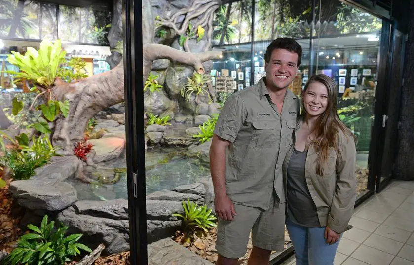Green Anaconda Exhibit Australia Zoo