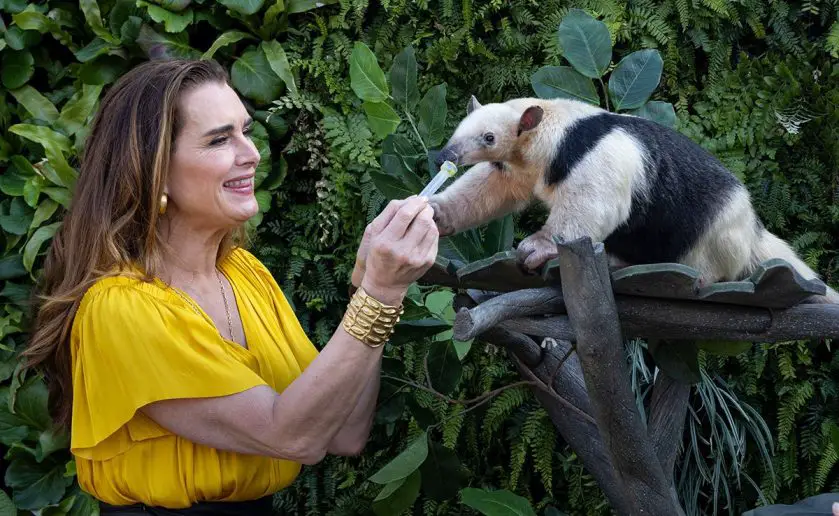 Wildlife Basecamp Opens at San Diego Zoo