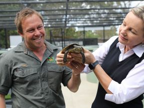 Conservation Ark Australian Reptile Park