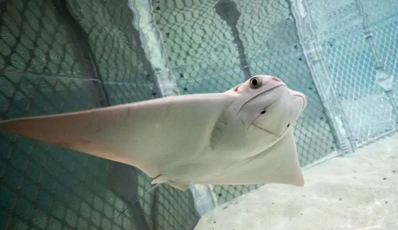 Baby Animals at Columbus Zoo and Aquarium