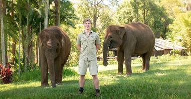 Elephants Go on Display at Australia Zoo - The Animal Facts