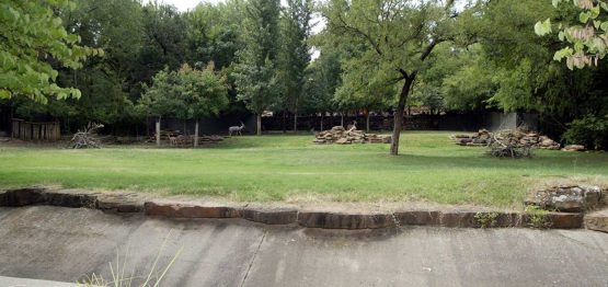 Fort Worth Zoo Predators Exhibit