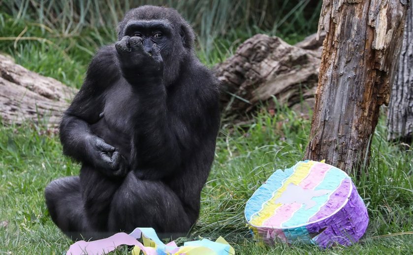 Easter at ZSL