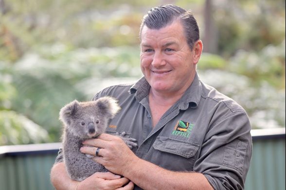 koala health check Australian Reptile Park