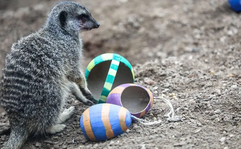 Easter at ZSL
