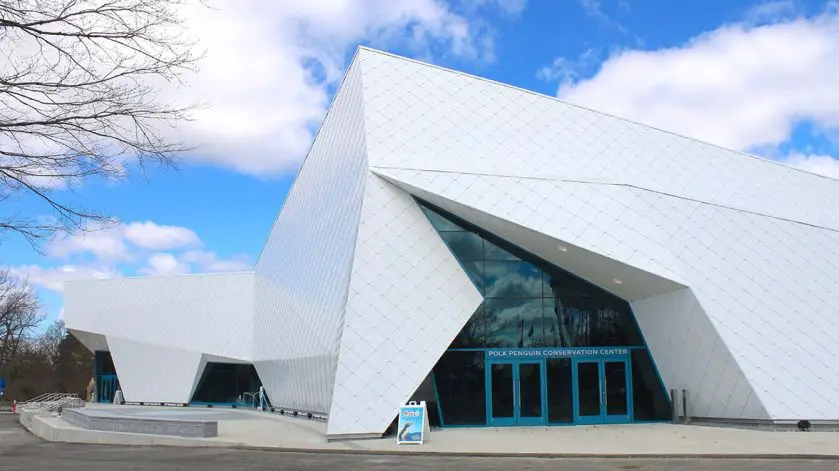Polk Penguin Conservation Center Reopens Detroit Zoo
