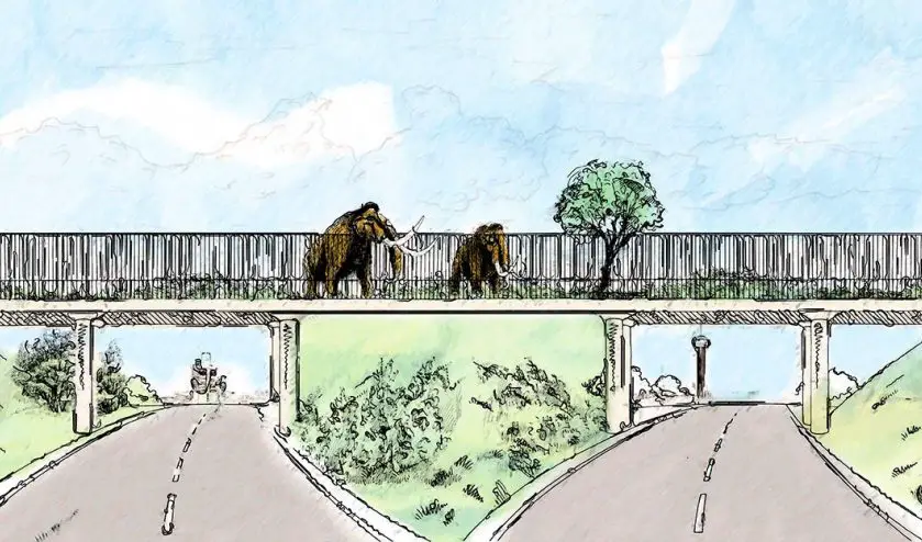San Antonio Zoo Mammoth Exhibit