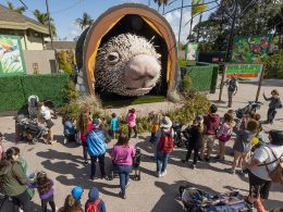 San Diego Zoo Porcupine Puppet