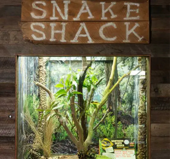 Snake Shack at WILD LIFE Sydney Zoo