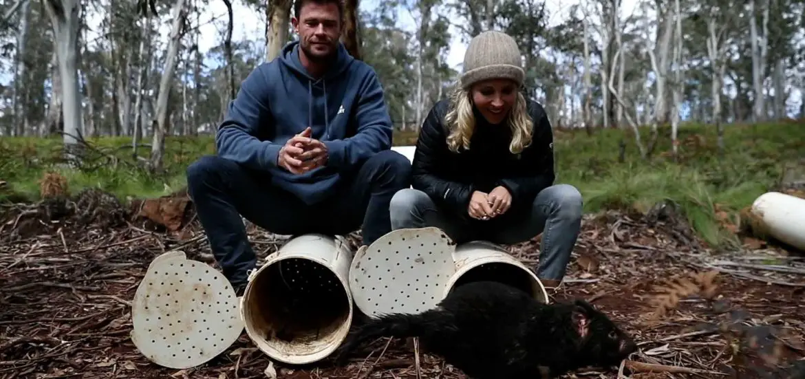 Aussie Ark Announce First Tasmanian Devil Joeys for 2023