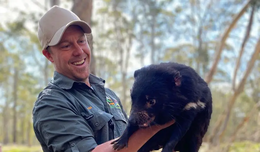 Tasmanian Devil Joeys Aussie Ark